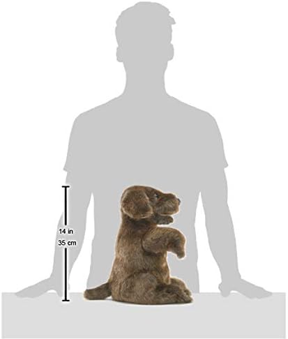 Folkmanis Sitting Dog Hand Puppet, Brown