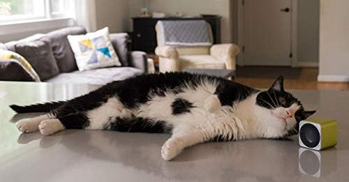 Pet Acoustics SD Card Expansion - Feline Calm