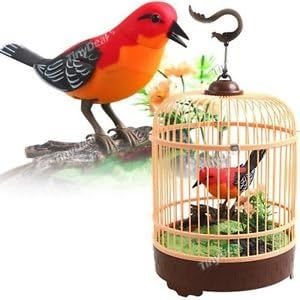& Trading BC507B Singing & Chirping Bird in Cage - Realistic Sounds & Movements Red