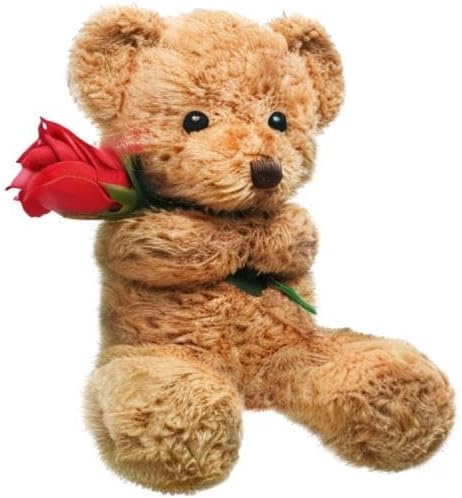 Civaner Bear Stuffed Animal Gift with Rose Funny Cute Bear Stuffed Animal Plush Gift for Mother Day Mom Birthday Wedding Christmas, 11.8 Inches(Beige)