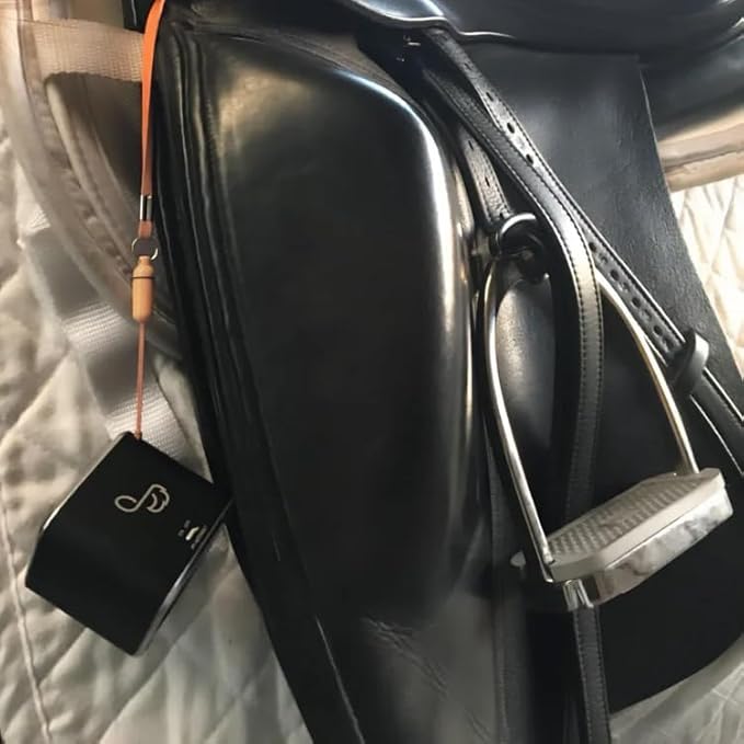 Pet Acoustics SD Card Expansion - Horse Calm
