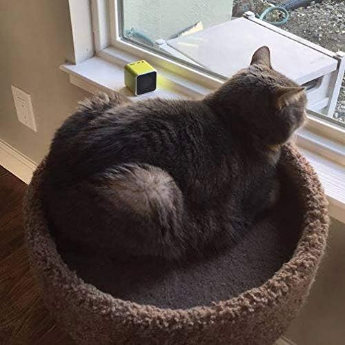 Pet Acoustics SD Card Expansion - Feline Calm