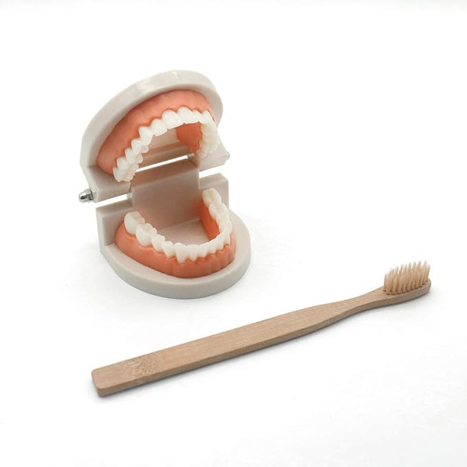 MEROCO Kids Dentist Play Set Plastic Teeth with Brush Teeth Flash Cards Life Skill Learning Toys for Toddlers Birthday Gift