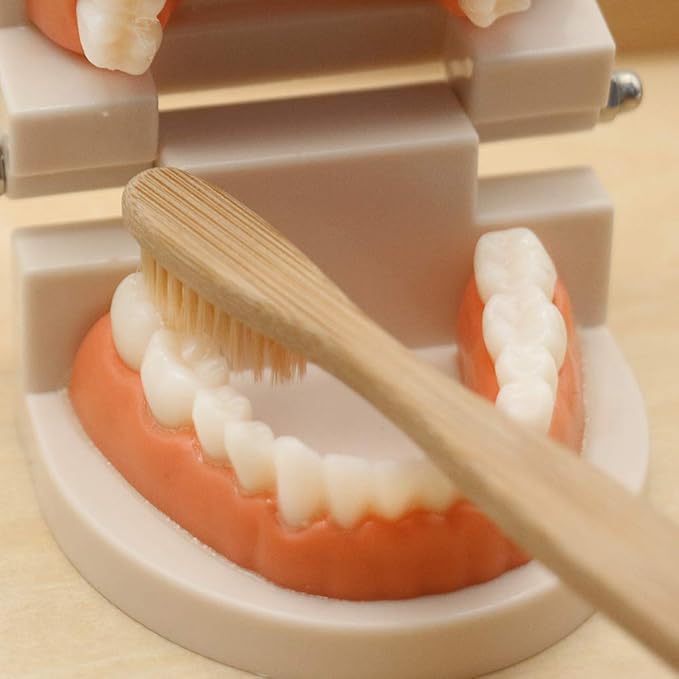 MEROCO Kids Dentist Play Set Plastic Teeth with Brush Teeth Flash Cards Life Skill Learning Toys for Toddlers Birthday Gift