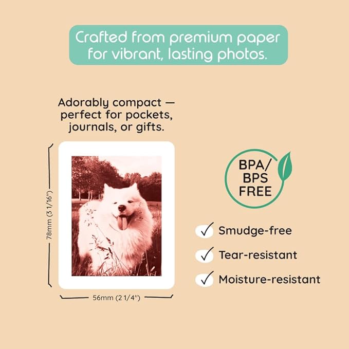 kiimento Print Pack for P2 Instant Print Camera, 40-prints Variety, Ink‑Free Thermal Cards, 78×56 mm Vertical, BPA & BPS Free, 4 Styles (10 Each): Timeless, Golden, Calm, Sweet