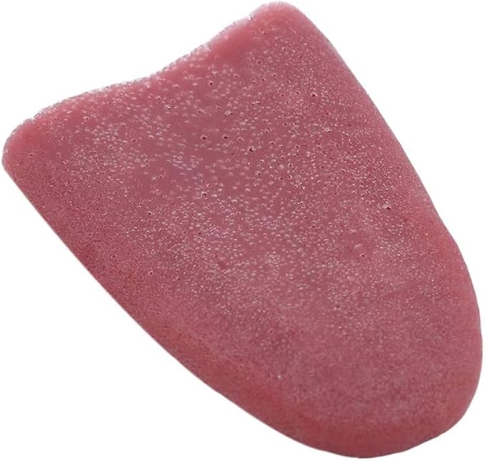 Realistic Fake Tongue Gross Jokes Prank Magic Tricks Halloween Horrific Magicians Props,Fake Tongue Piercing,Magic Kits and Accessories,Novelty and Gag Toys