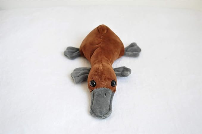 TAMMYFLYFLY 8.6" Realistic Platypus Soft Plush Pillow Kawaii Girls and Boys Stuffed Animals Toys Duckbill for Kids' Gifts (Duckbill) (American)