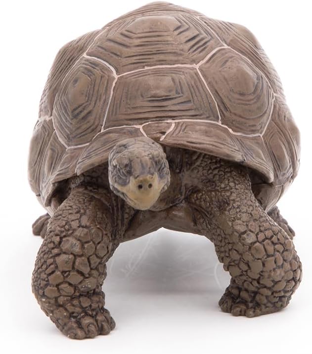Papo Galapagos Tortoise Toy Figure