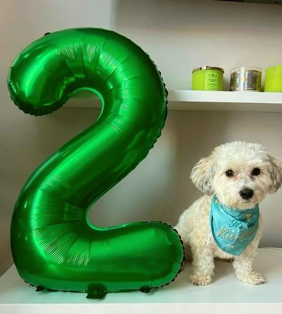 40 Inch Big Green Number 22 Balloon Birthday Decoration, Number 22 Helium Balloon Celebration, Boy Girl Baby Anniversary Party Graduations Supplies Decorations