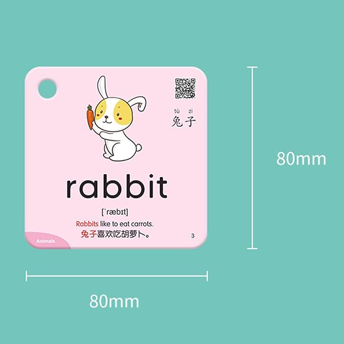 Generic Interactive 300-Piece Flash Card Set for Preschoolers