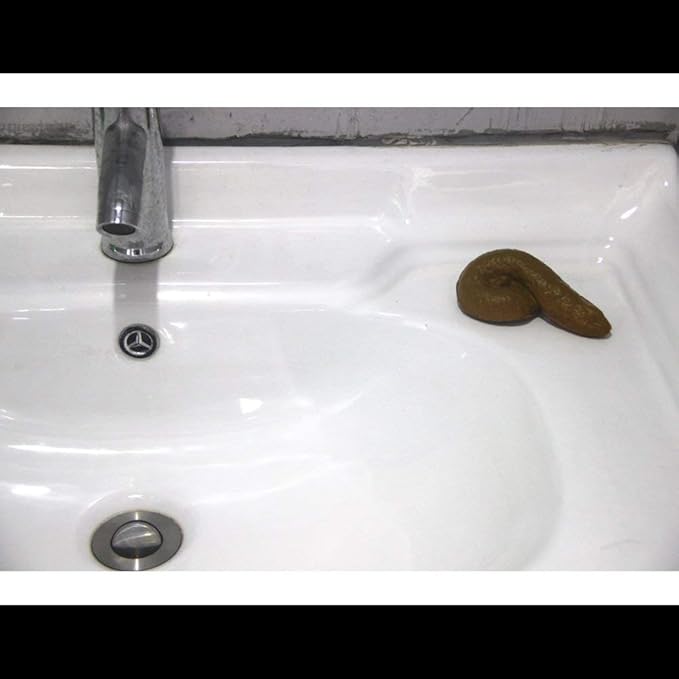 Fake Poop Prank Funny Poop Toys Gag Gift Realistic Mischief Novelty Toys for Joke Trick Halloween April Fool 's Day Party, Pack of 2