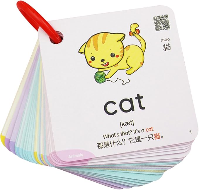 Generic Interactive 300-Piece Flash Card Set for Preschoolers