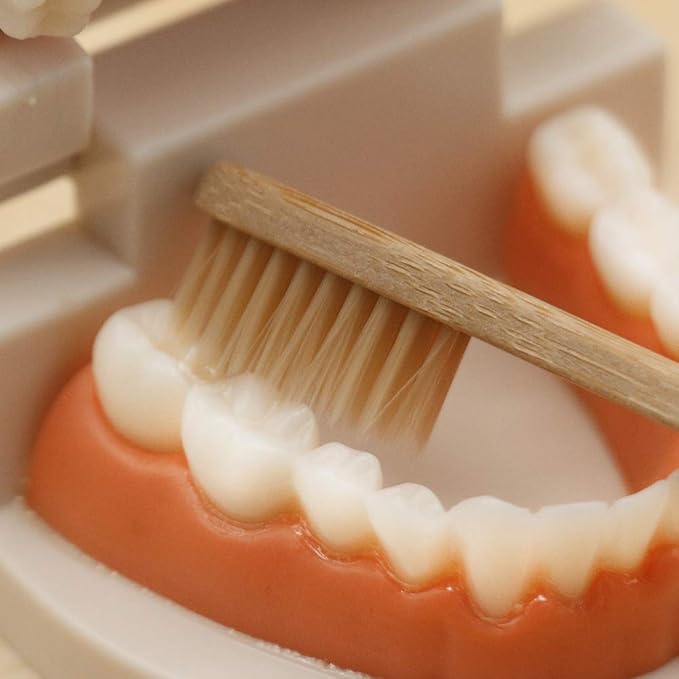 MEROCO Kids Dentist Play Set Plastic Teeth with Brush Teeth Flash Cards Life Skill Learning Toys for Toddlers Birthday Gift