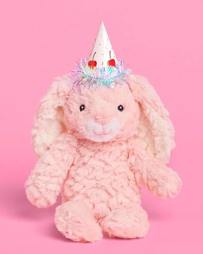 xo, Fetti Mini Party Hats – 10 Party Hats | Dog Cat Birthday, Pet Party, Birthday Cake, Cute Stuffed Animals, Colorful, Fun, Celebration