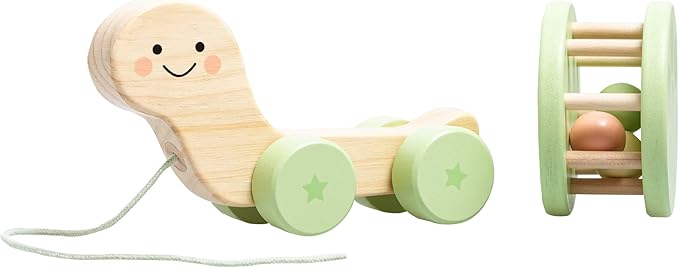 Pearhead Wooden Turtle Push and Pull Toy, Montessori Shake and Rattle Shell, Baby Walking and Gross Motor Development Learning, Pull Along Car Toy, Ages 12m+