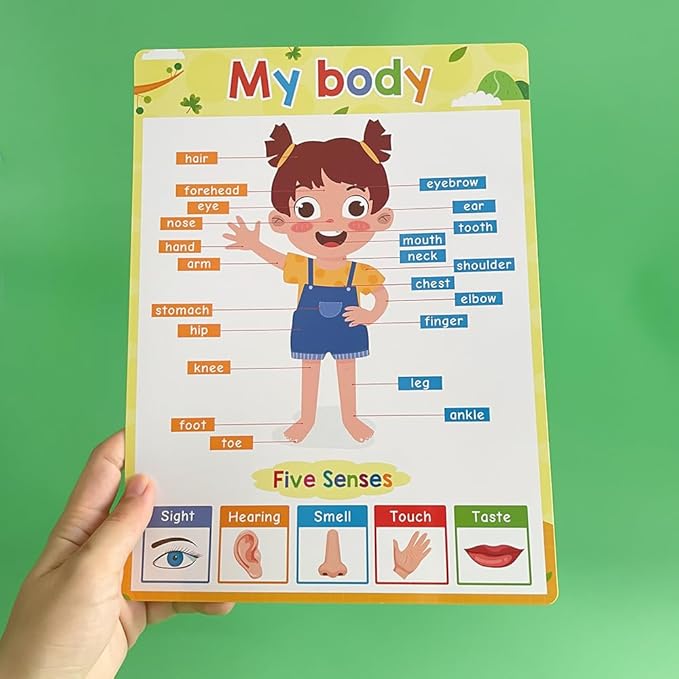 Lachilly Pre-Primer Fun Learning Poster Flash Cards - Perfect for Toddler Education, Pre-K and Kindergarten Learning Activities, Suitable for Autistic Children and Primary School Kids, 10 Sheets