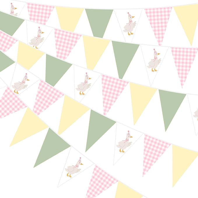 Pasimy 5 Pcs Silly Goose Birthday Party Decorations Pink Green Yellow Gingham Print Pennant Banners Funny Geese Triangle Bunting Banners for Farm Animal Baby Shower First Birthday Party Decoration