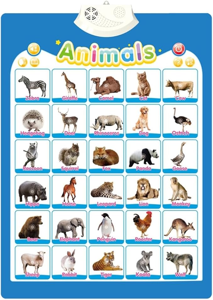 Interactive Educational Wall Chart Talking Toy for Toddler Early Learning Water and Safe Use English Learning