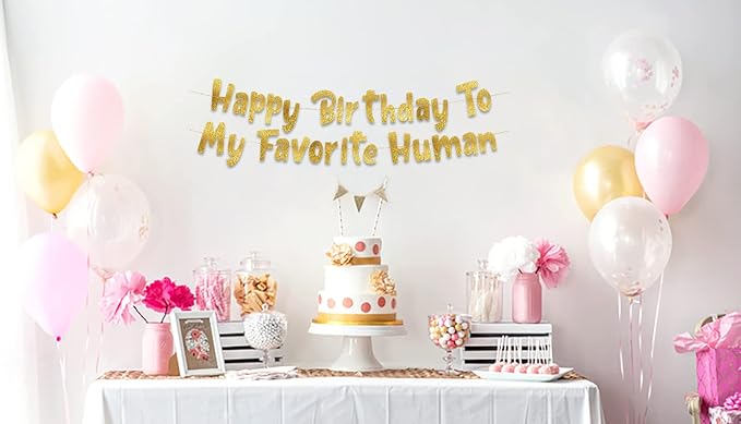 Pre-Strung Happy Birthday To My Favorite Human - Funny Birthday Gold Glitter Banner - Funny Birthday Decorations for Men and Women - Party Supplies and Gifts