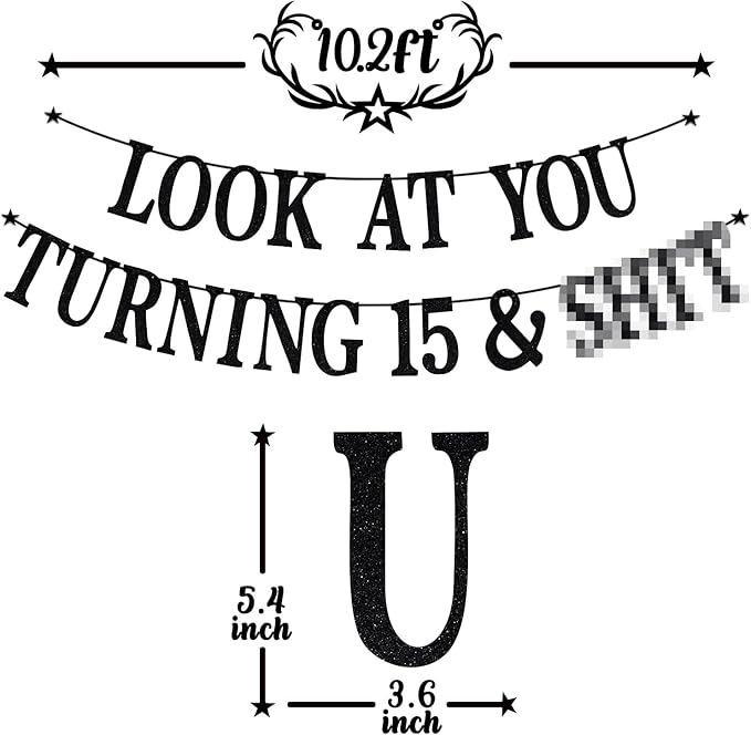 Black Glitter Look at You Turning 15 & Sh*t Banner, Happy 15th Birthday/Level 15 Unlocked/Cheers to 15 Years, Funny 15th Birthday Party Decorations Supplies