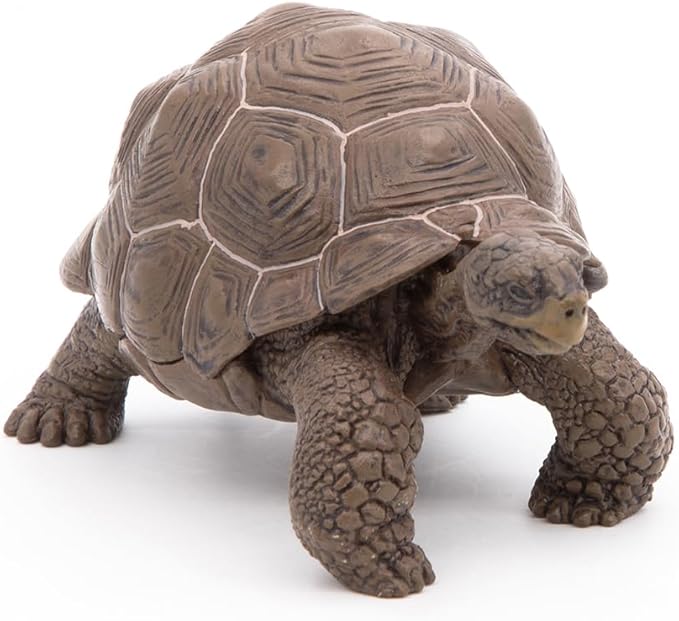 Papo Galapagos Tortoise Toy Figure
