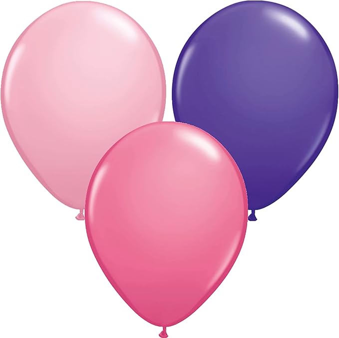 Skye and Everest 3rd Birthday Party Supplies Girl Paw Pups on Patrol Balloon Bouquet Decorations 12ct