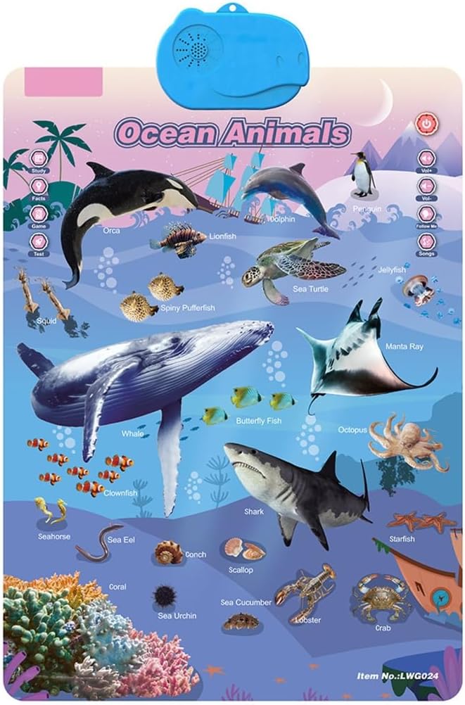 Interactive Educational Wall Chart Talking Toy for Toddler Early Learning Water and Safe Use English Learning
