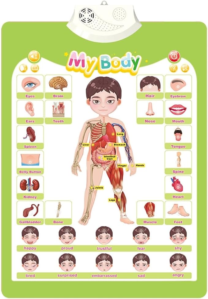 Interactive Educational Wall Chart Talking Toy for Toddler Early Learning Water and Safe Use English Learning