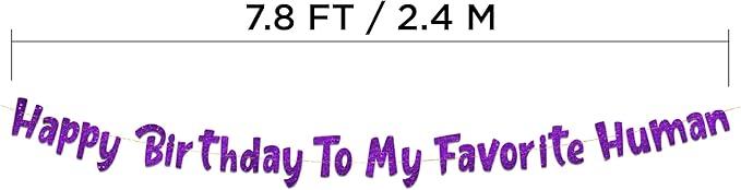 Pre-Strung Happy Birthday To My Favorite Human - Funny Birthday Purple Glitter Banner - Funny Birthday Decorations for Men and Women - Party Supplies and Gifts