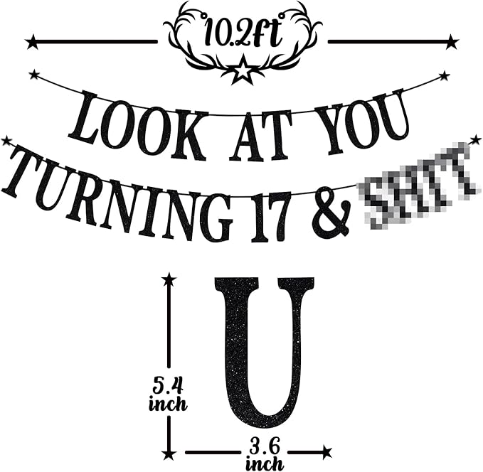 Black Glitter Look at You Turning 17 & Sh*t Banner, Happy 17th Birthday/Level 17 Unlocked/Cheers to 17 Years, Funny 17th Birthday Party Decorations Supplies