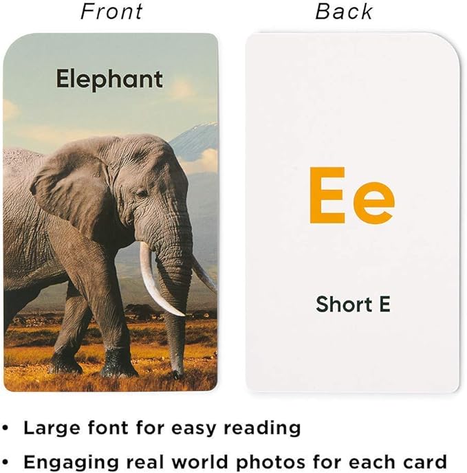 Think Tank Scholar 180 Preschool Flash Cards & 520 Sight Words Flash Cards Bundle - 10 Different Packs of Learning Cards.