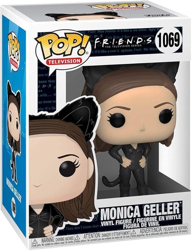 POP TV: Friends - Monica as Catwoman, Multicolor, Standard