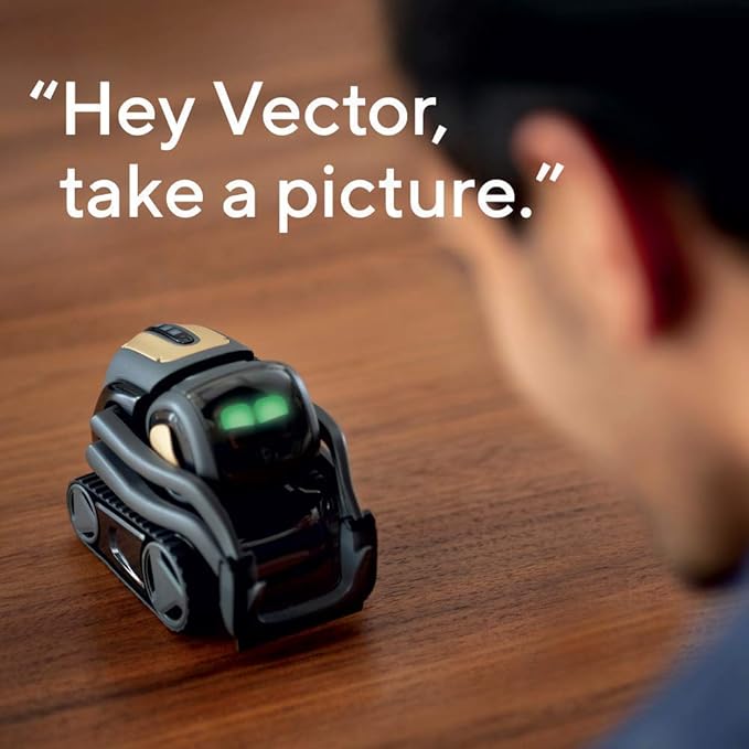 The Smart AI Companion | The Smart Little Robot with a Big Personality You Can Interact With; for Young and Old Alike (Black) Special Edition – Subscription Required