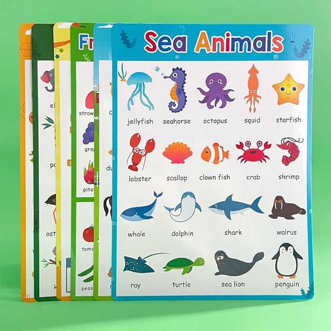 Lachilly Pre-Primer Fun Learning Poster Flash Cards - Perfect for Toddler Education, Pre-K and Kindergarten Learning Activities, Suitable for Autistic Children and Primary School Kids, 10 Sheets