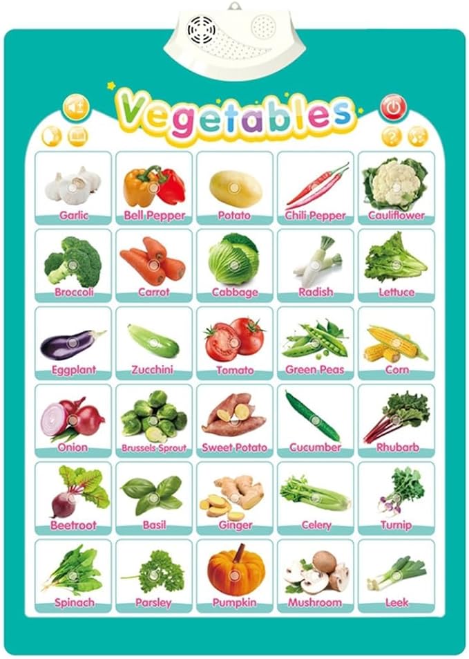 Interactive Educational Wall Chart Talking Toy for Toddler Early Learning Water and Safe Use English Learning