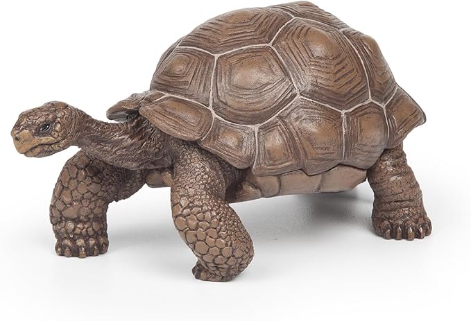 Papo Galapagos Tortoise Toy Figure