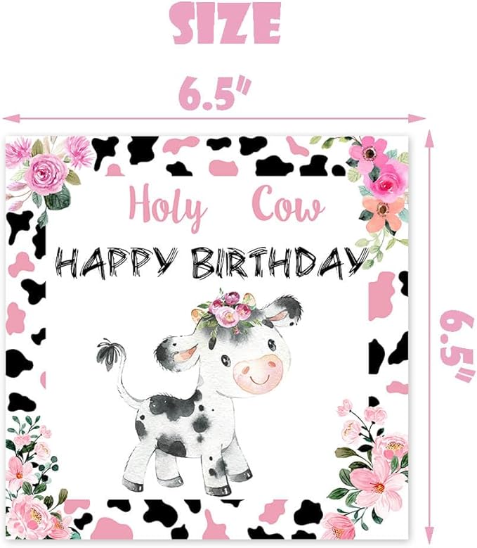 51 Pcs Holy Cow I'm Two Girls Birthday Party Supplies Moo Moo I'm Two Tablecloth Paper Plates Napkins Forks Dinnerware for Farm Animals Cow Theme Girls 2nd Birthday Party Supplies Decorations