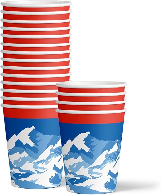 Snowboarding Birthday Party Supplies Set Plates Napkins Cups Tableware Kit for 16