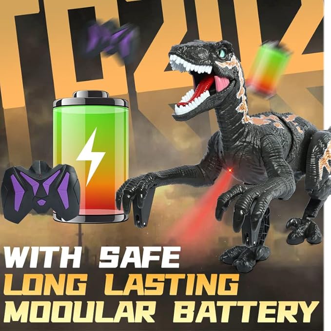 Remote Control Dinosaur Toys for Kid - Walking Dinosaur Toys for Boys 5-7，RC Jurassic Velociraptor Toys 8-12，Robot 3-5 with Light Sounds Birthday Gift Toy for Boys Age 3+ Rechargeable Black