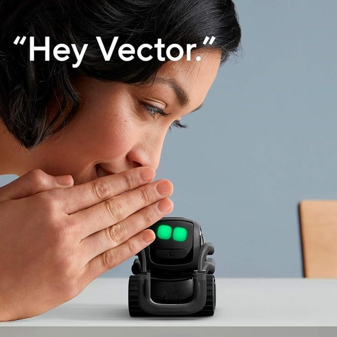 The Smart AI Companion | The Smart Little Robot with a Big Personality You Can Interact With; for Young and Old Alike (Black) Special Edition – Subscription Required
