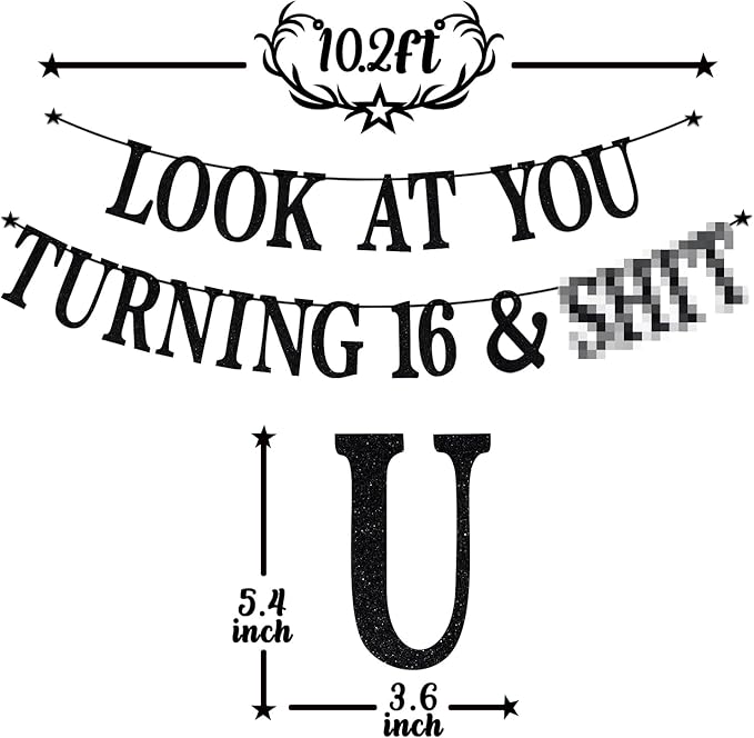 Black Glitter Look at You Turning 16 & Sh*t Banner, Happy 16th Birthday/Level 16 Unlocked/Cheers to 16 Years, Funny 16th Birthday Party Decorations Supplies