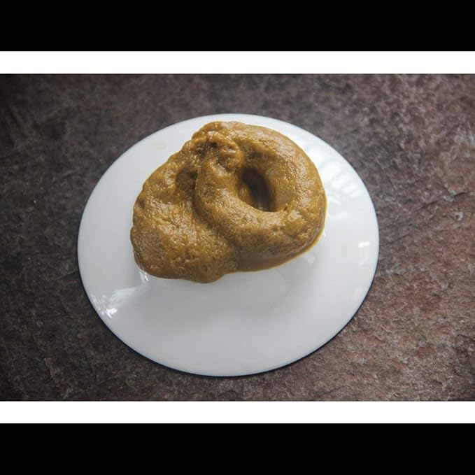 Fake Poop Prank Funny Poop Toys Gag Gift Realistic Mischief Novelty Toys for Joke Trick Halloween April Fool 's Day Party, Pack of 2