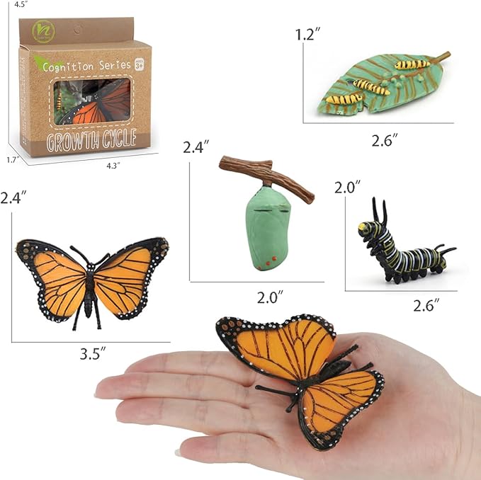 Montessori Life Cycle Learning - Montessori Life Cycle Animal Figures with Flash Cards, Plastic Insects Monarch Butterfly Kit Caterpillar Toy for Kids, Realistic Animal Figurines (Butterfly)