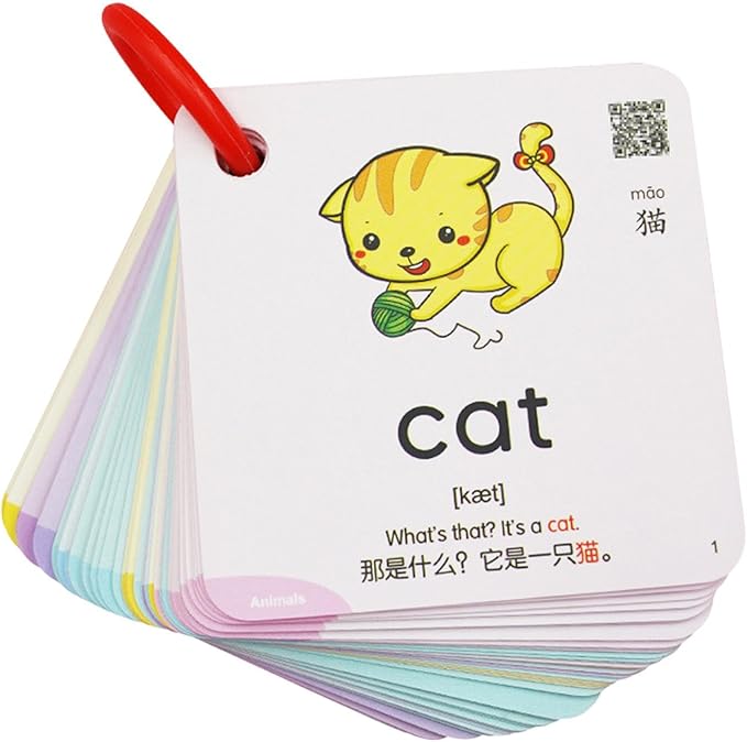 Generic Interactive 300-Piece Flash Card Set for Preschoolers