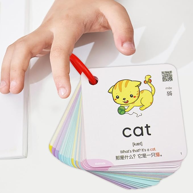 Generic Interactive 300-Piece Flash Card Set for Preschoolers