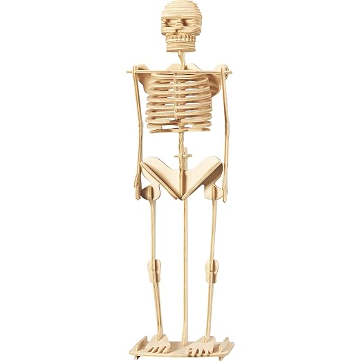 Wonders of Learning Wonders of Learning Tin Set, Discover The Human Body