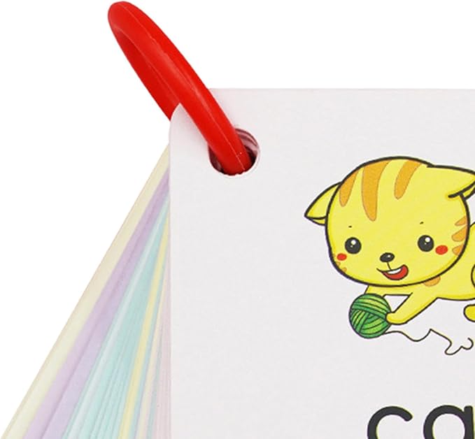 Generic Interactive 300-Piece Flash Card Set for Preschoolers