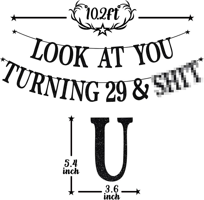Black Glitter Look at You Turning 29 & Sh*t Banner, Happy 29th Birthday/Level 29 Unlocked/Cheers to 29 Years, Funny 29th Birthday Party Decorations Supplies