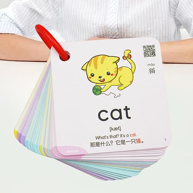 Generic Interactive 300-Piece Flash Card Set for Preschoolers