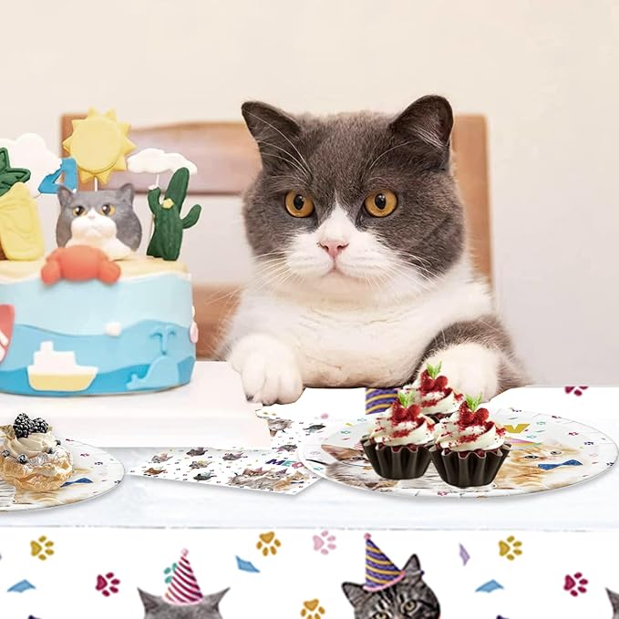 41pcs Cat Party Supplies ,include 20 Plates, 20 Napkin and 1pcs Tablecloth,Used for Birthday Party Decoration